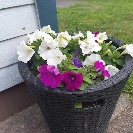 Mysig Stuga Nara Havet Och Naturreservat Ferienhaus
